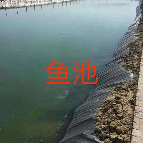 魚池防滲膜